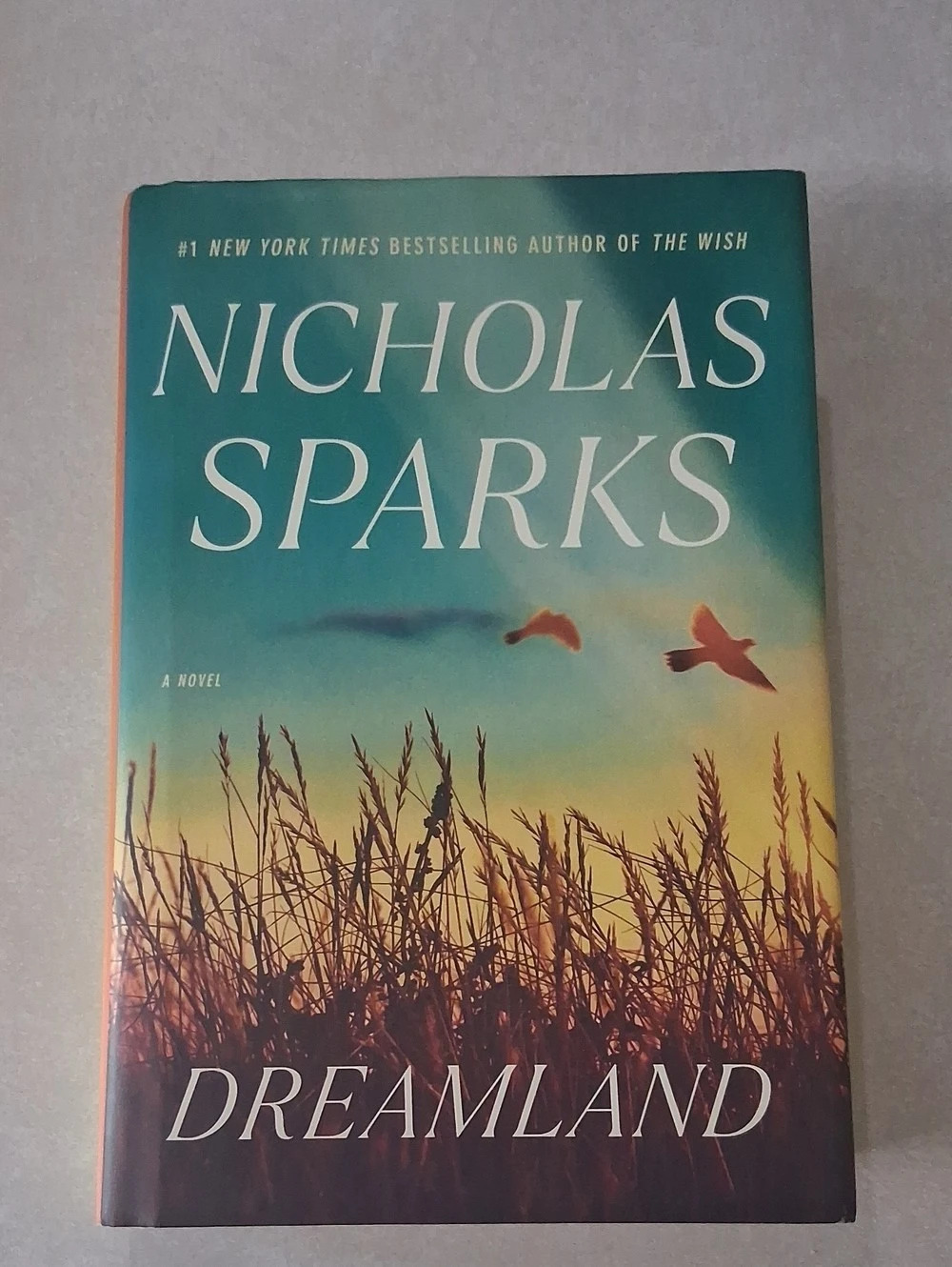 Dreamland By Nichas Sparks